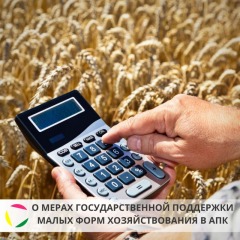 НОВОСТИ январь 2020